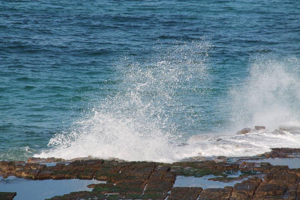 smell of the sea Pearl Perfumery smell of the sea Pearl Perfumery